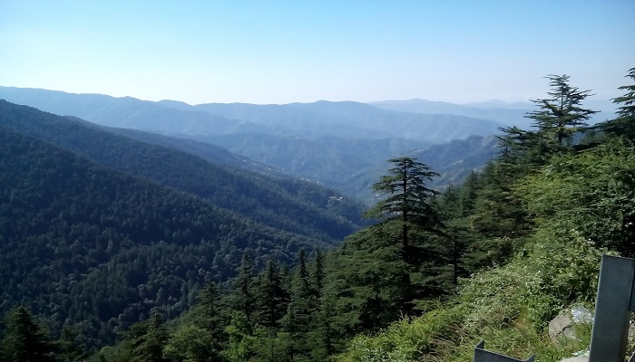 Green_Valley_on_the_way_to_Kufri,_Shimla.jpg